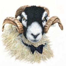 Suave Swaledale